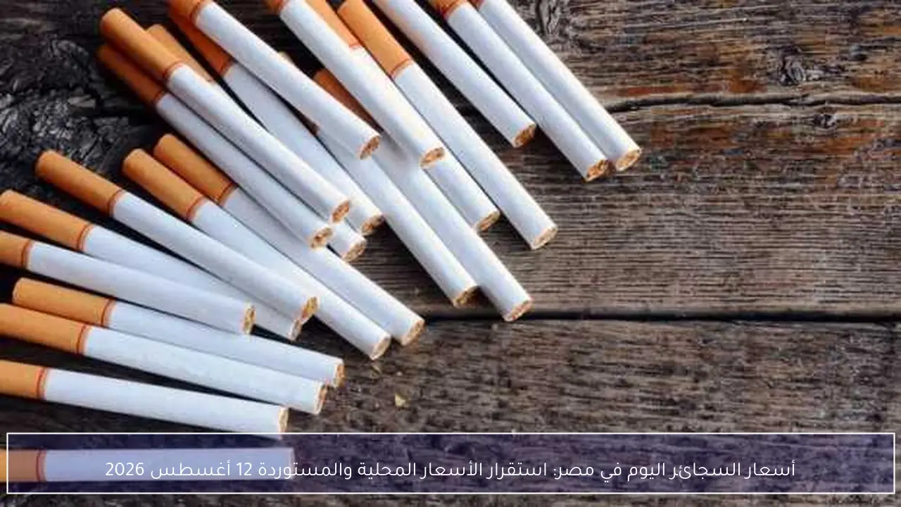 أسعار السجائر اليوم في مصر: استقرار الأسعار المحلية والمستوردة 12 أغسطس 2026