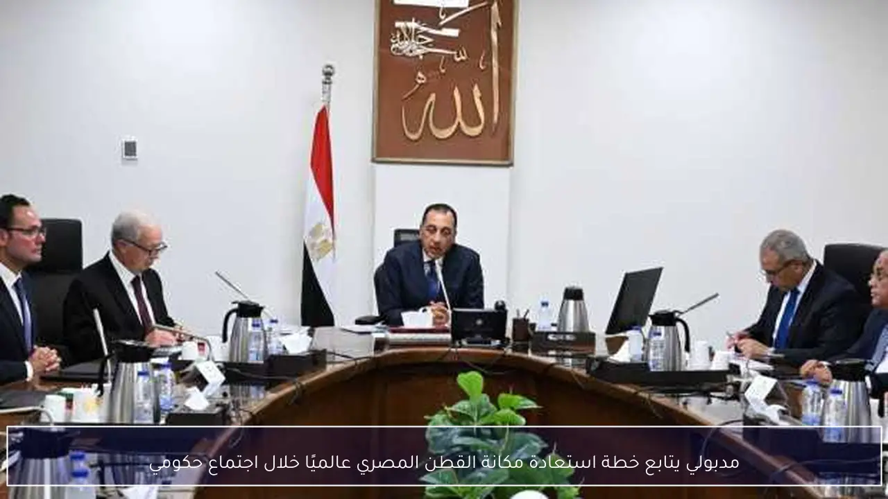 مدبولي يتابع خطة استعادة مكانة القطن المصري عالميًا خلال اجتماع حكومي