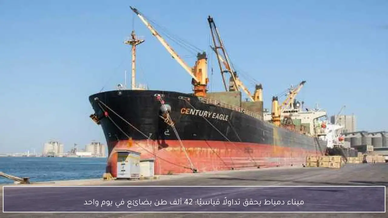ميناء دمياط يحقق تداولًا قياسيًا: 42 ألف طن بضائع في يوم واحد