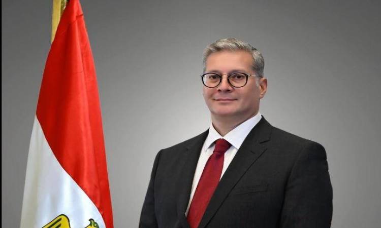 المهندس كريم بدوي