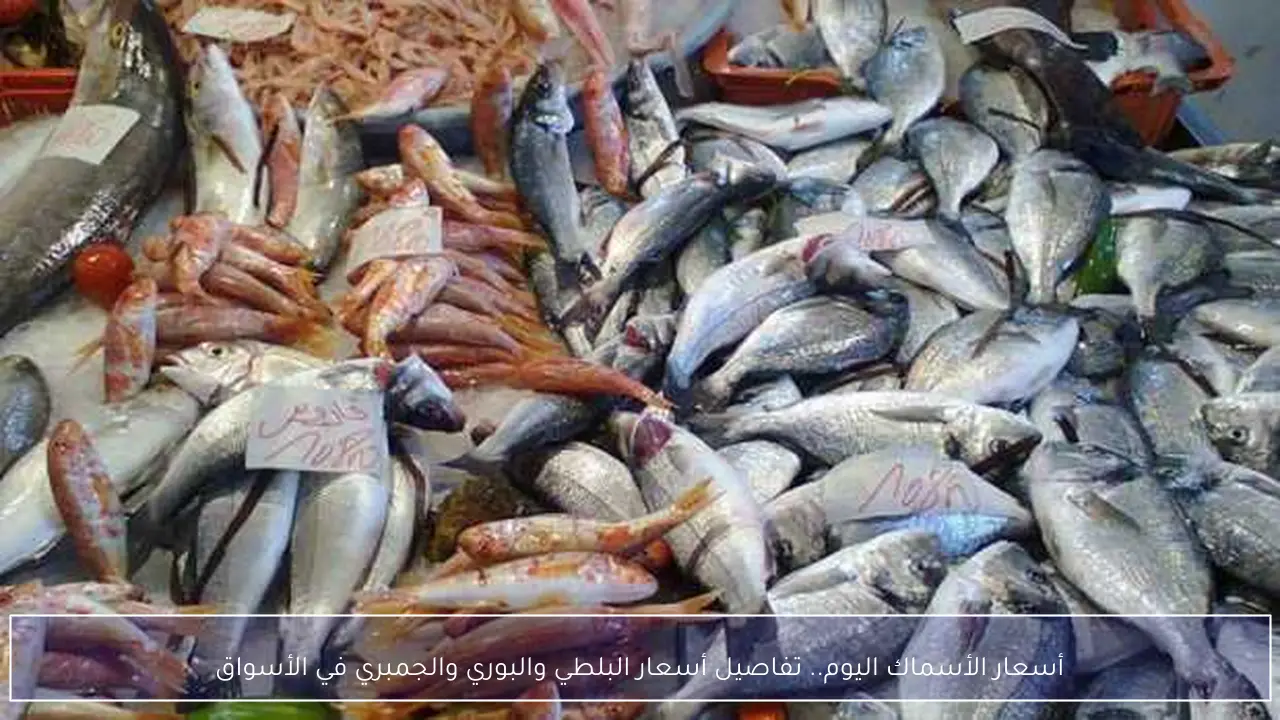 أسعار الأسماك اليوم.. تفاصيل أسعار البلطي والبوري والجمبري في الأسواق