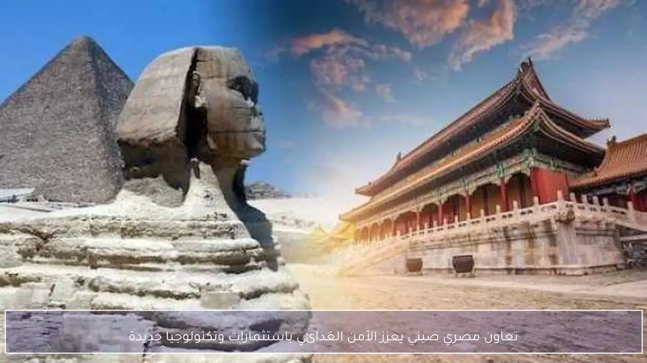 تعاون مصري صيني يعزز الأمن الغذائي باستثمارات وتكنولوجيا جديدة