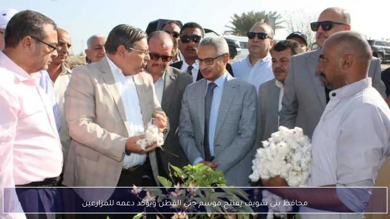 محافظ بني سويف يفتتح موسم جني القطن ويؤكد دعمه للمزارعين