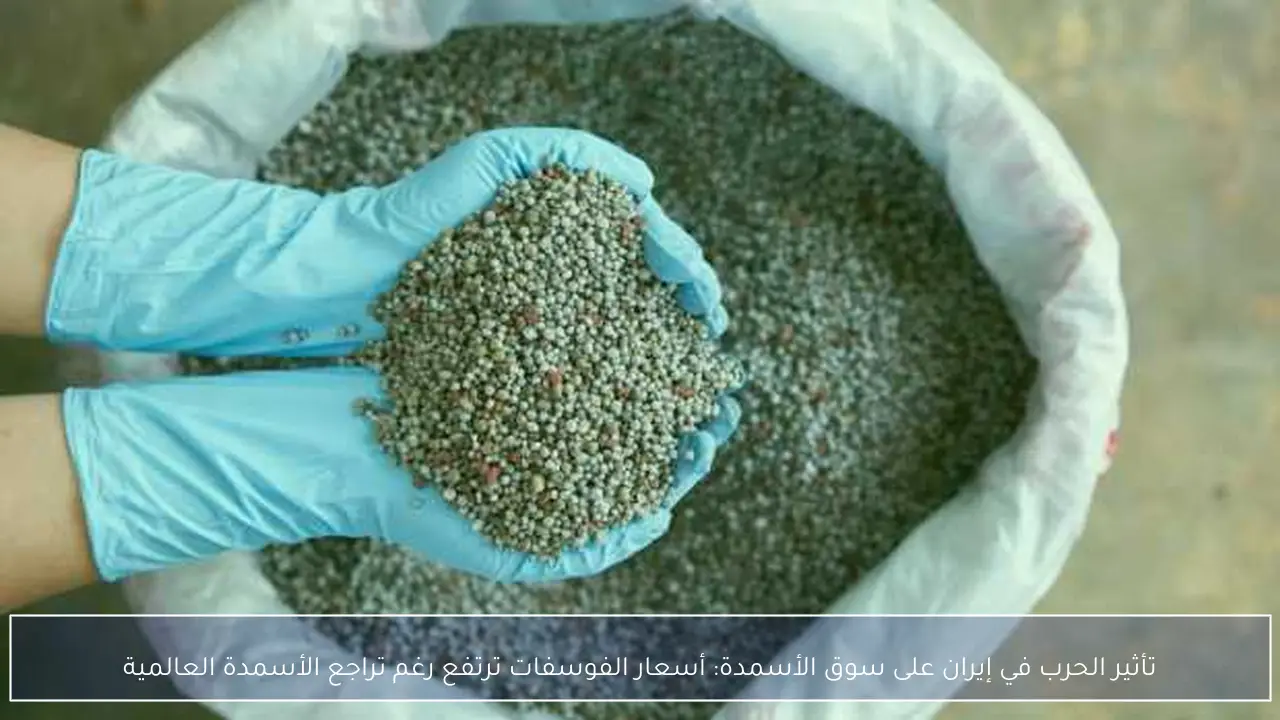 تأثير الحرب في إيران على سوق الأسمدة: أسعار الفوسفات ترتفع رغم تراجع الأسمدة العالمية