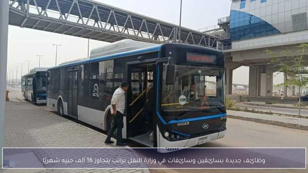 وظائف جديدة بسائقين وسائقات في وزارة النقل براتب يتجاوز 16 ألف جنيه شهريًا