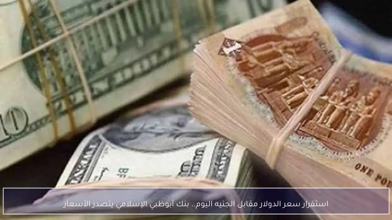 استقرار سعر الدولار مقابل الجنيه اليوم.. بنك أبوظبي الإسلامي يتصدر الأسعار
