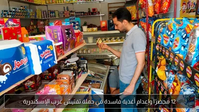 12 محضرًا وإعدام أغذية فاسدة في حملة تفتيش غرب الإسكندرية