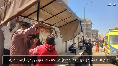 غلق 131 منشأة وتحرير 1239 محضرًا في حملات تفتيش بأحياء الإسكندرية