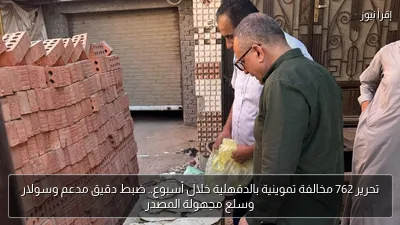 تحرير 762 مخالفة تموينية بالدقهلية خلال أسبوع.. ضبط دقيق مدعم وسولار وسلع مجهولة المصدر