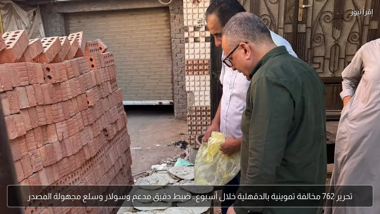 تحرير 762 مخالفة تموينية بالدقهلية خلال أسبوع.. ضبط دقيق مدعم وسولار وسلع مجهولة المصدر