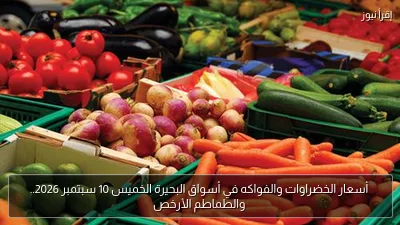 أسعار الخضراوات والفواكه في أسواق البحيرة الخميس 10 سبتمبر 2026.. والطماطم الأرخص