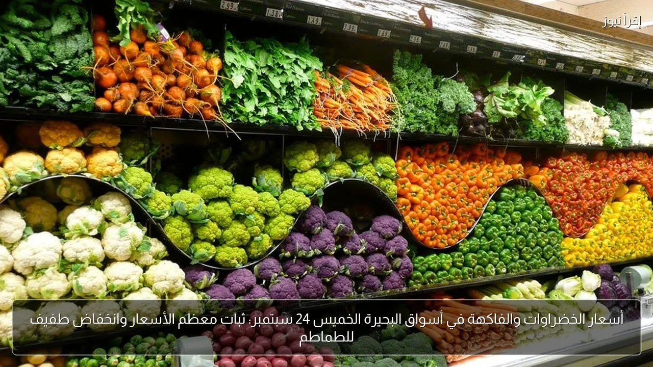 أسعار الخضراوات والفاكهة في أسواق البحيرة الخميس 24 سبتمبر: ثبات معظم الأسعار وانخفاض طفيف للطماطم