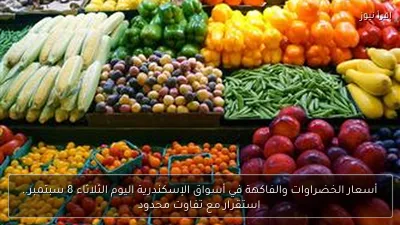 أسعار الخضراوات والفاكهة في أسواق الإسكندرية اليوم الثلاثاء 8 سبتمبر.. استقرار مع تفاوت محدود