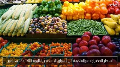 أسعار الخضراوات والفاكهة في أسواق الإسكندرية اليوم الثلاثاء 22 سبتمبر