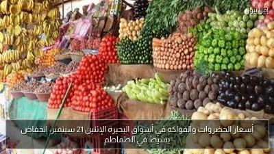 أسعار الخضروات والفواكه في أسواق البحيرة الإثنين 21 سبتمبر: انخفاض بسيط في الطماطم