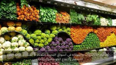 أسعار الخضروات والفواكه في أسواق البحيرة الثلاثاء 8 سبتمبر: ثبات أغلب الأسعار وارتفاع الكوسة والبطاطس