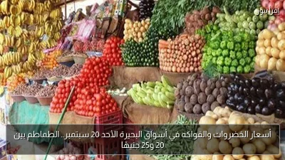 أسعار الخضروات والفواكه في أسواق البحيرة الأحد 20 سبتمبر.. الطماطم بين 20 و25 جنيهًا