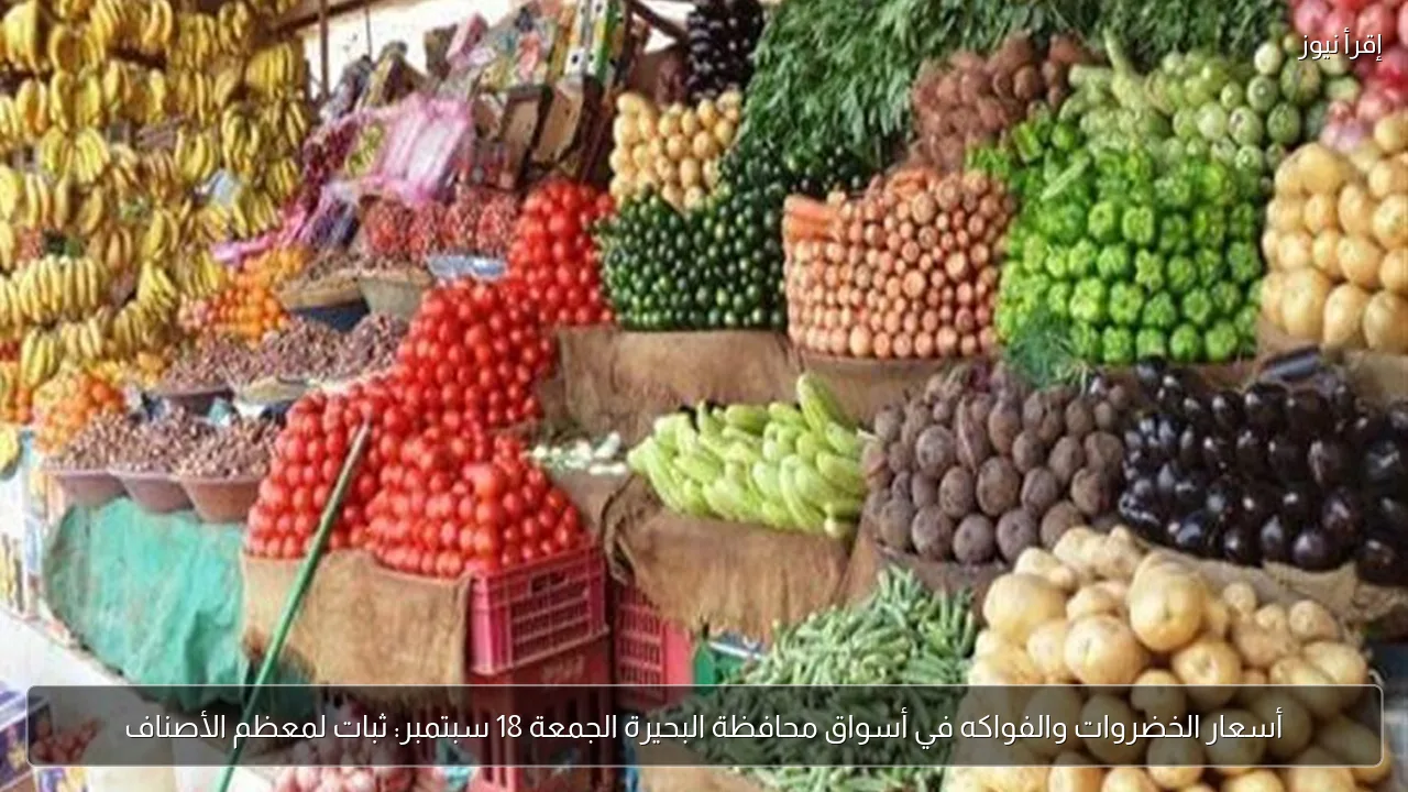أسعار الخضروات والفواكه في أسواق محافظة البحيرة الجمعة 18 سبتمبر: ثبات لمعظم الأصناف