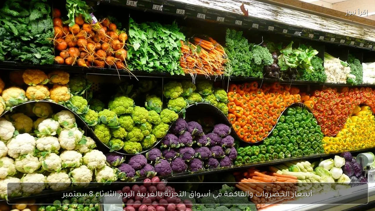 أسعار الخضروات والفاكهة في أسواق التجزئة بالغربية اليوم الثلاثاء 8 سبتمبر