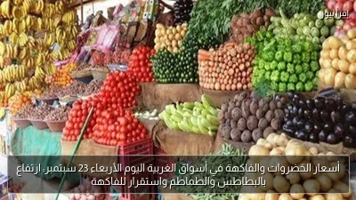 أسعار الخضروات والفاكهة في أسواق الغربية اليوم الأربعاء 23 سبتمبر: ارتفاع بالبطاطس والطماطم واستقرار للفاكهة