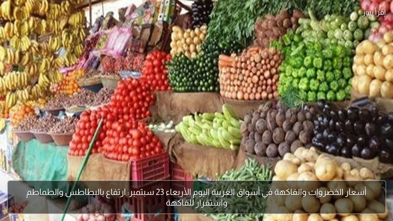 أسعار الخضروات والفاكهة في أسواق الغربية اليوم الأربعاء 23 سبتمبر: ارتفاع بالبطاطس والطماطم واستقرار للفاكهة