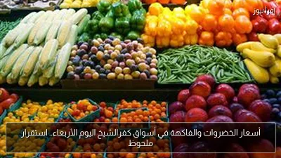 أسعار الخضروات والفاكهة في أسواق كفرالشيخ اليوم الأربعاء.. استقرار ملحوظ