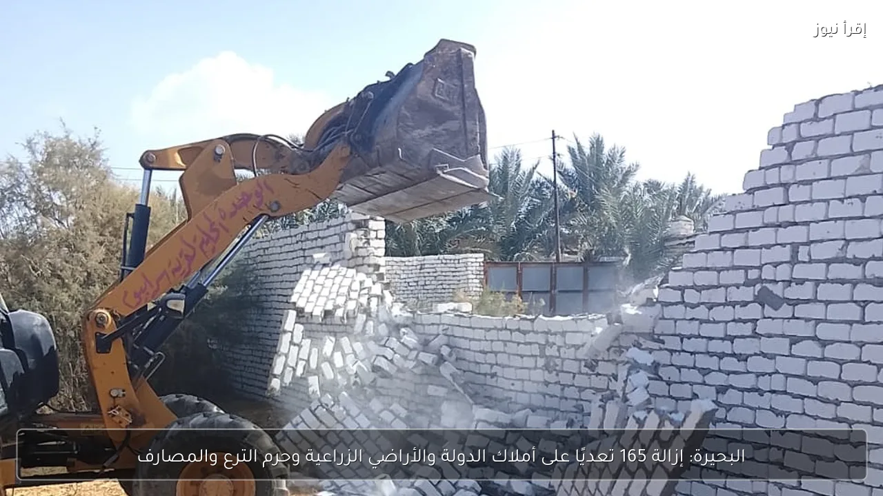 البحيرة: إزالة 165 تعديًا على أملاك الدولة والأراضي الزراعية وحرم الترع والمصارف