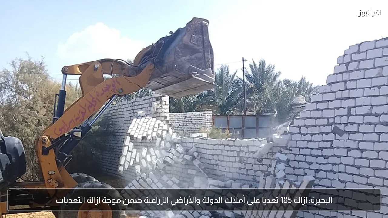 البحيرة: إزالة 185 تعديًا على أملاك الدولة والأراضي الزراعية ضمن موجة إزالة التعديات