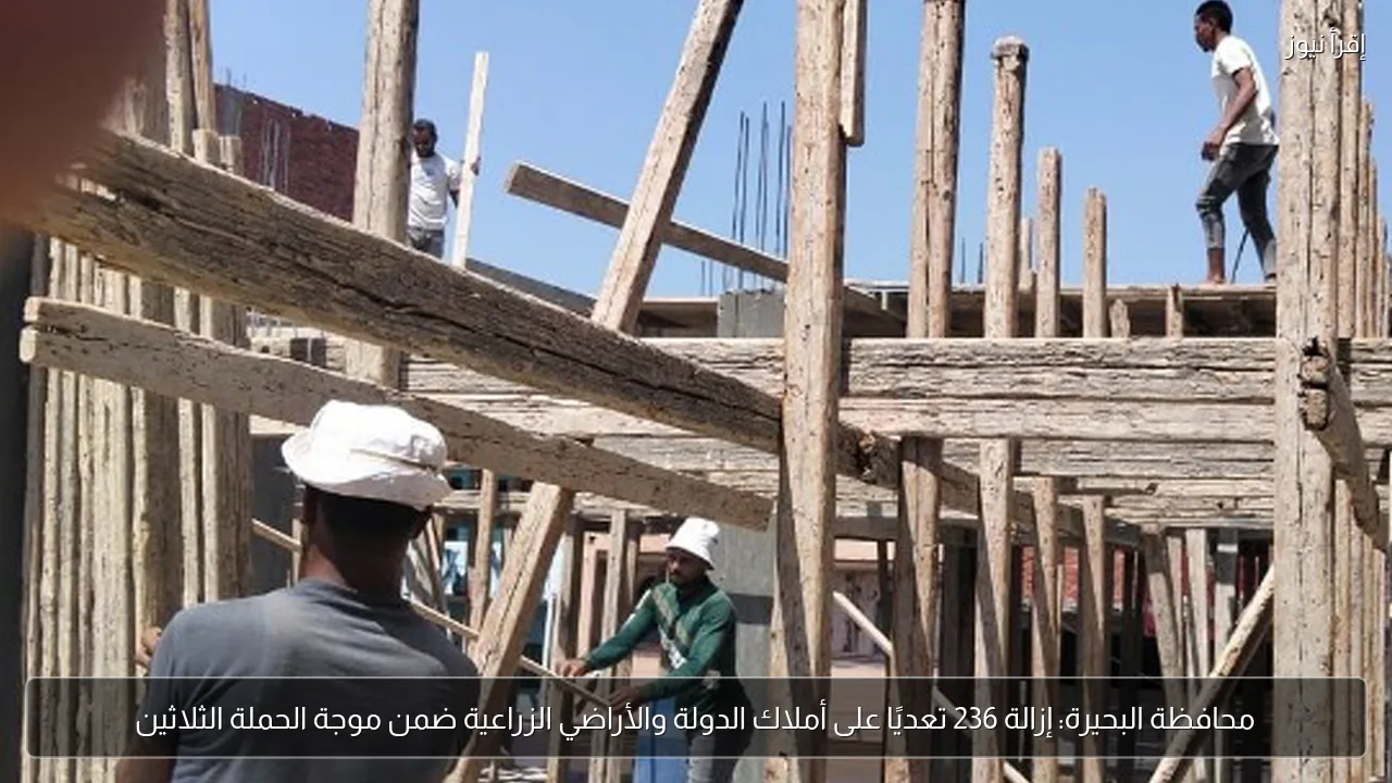 محافظة البحيرة: إزالة 236 تعديًا على أملاك الدولة والأراضي الزراعية ضمن موجة الحملة الثلاثين