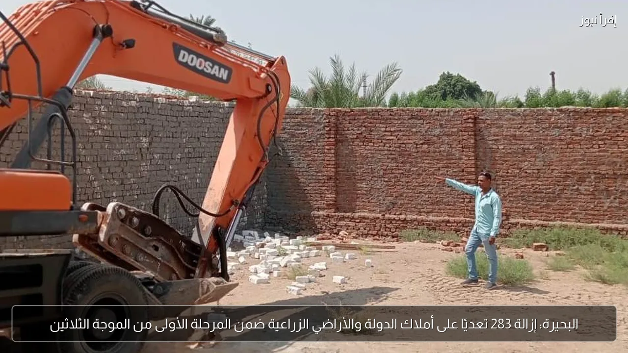 البحيرة: إزالة 283 تعديًا على أملاك الدولة والأراضي الزراعية ضمن المرحلة الأولى من الموجة الثلاثين