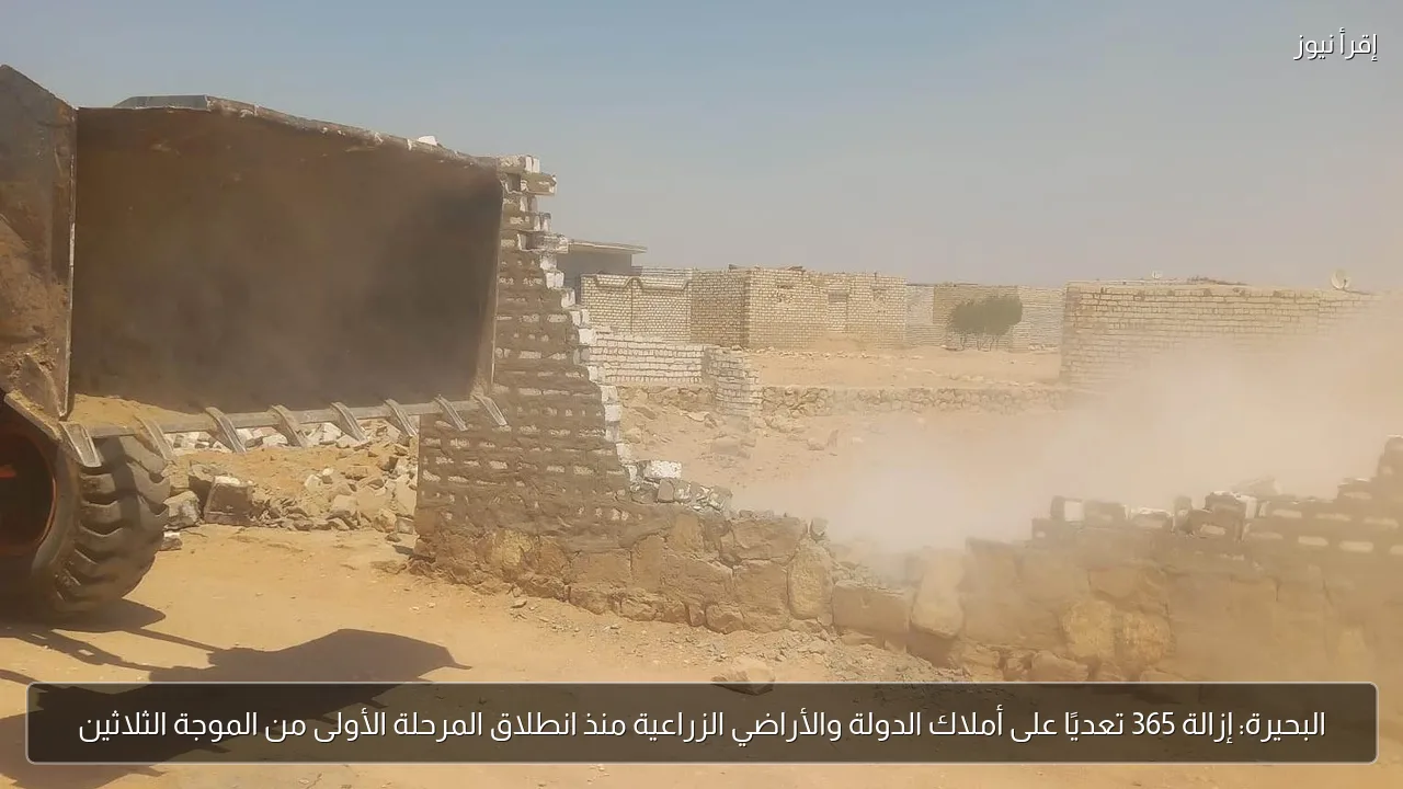 البحيرة: إزالة 365 تعديًا على أملاك الدولة والأراضي الزراعية منذ انطلاق المرحلة الأولى من الموجة الثلاثين