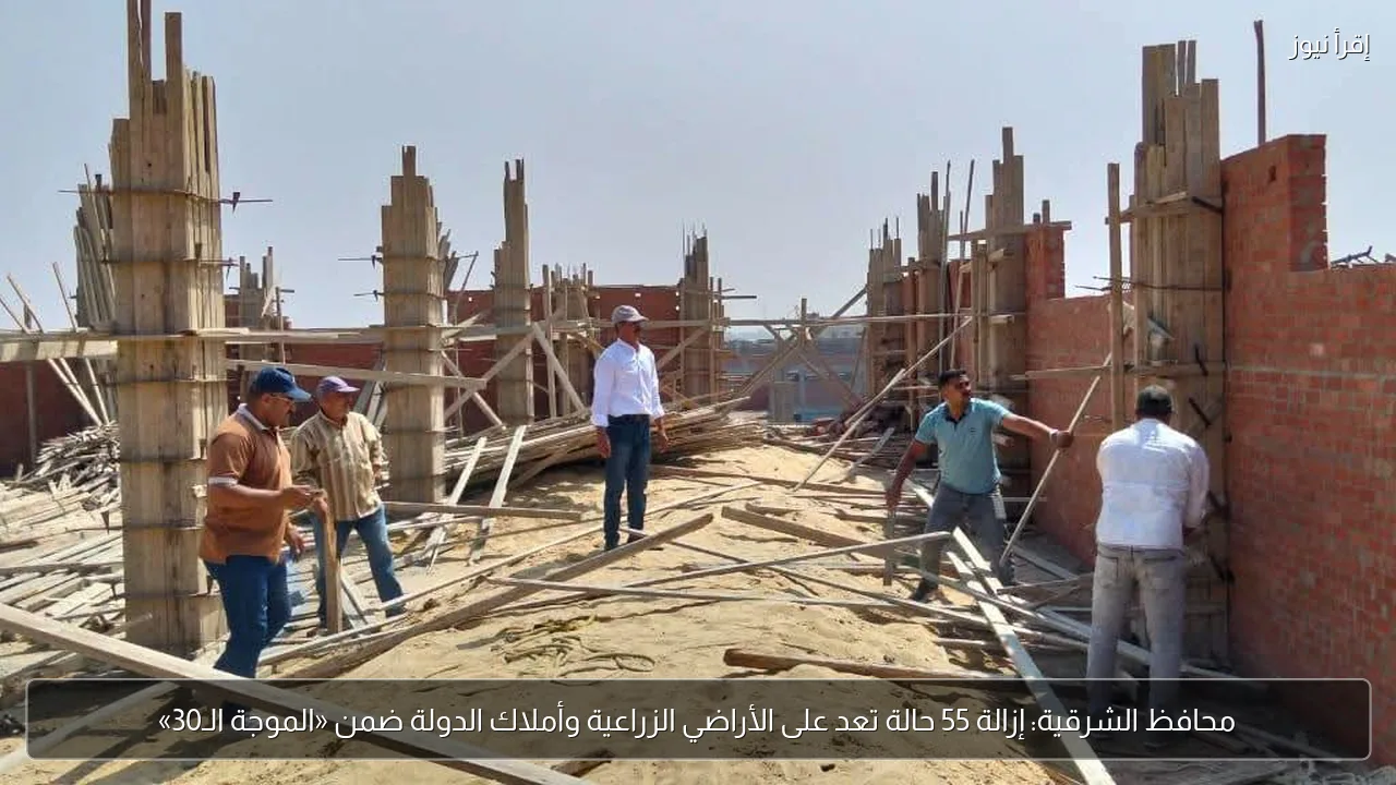 محافظ الشرقية: إزالة 55 حالة تعد على الأراضي الزراعية وأملاك الدولة ضمن «الموجة الـ30»