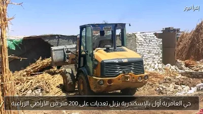 حي العامرية أول بالإسكندرية يزيل تعديات على 200 متر من الأراضي الزراعية