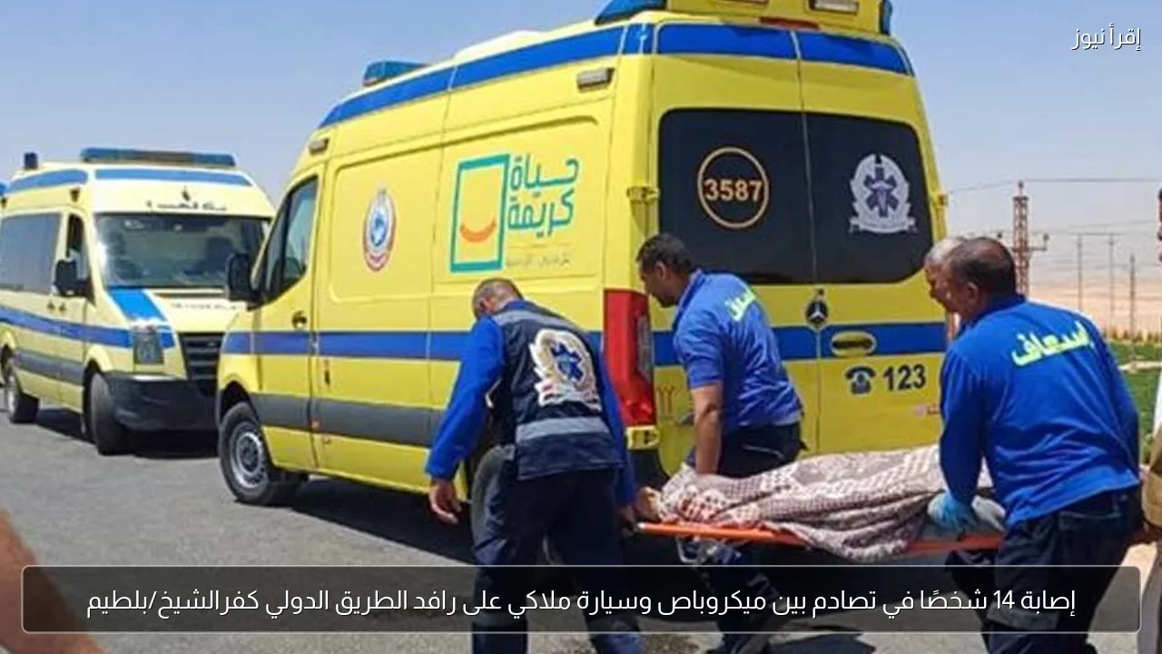 إصابة 14 شخصًا في تصادم بين ميكروباص وسيارة ملاكي على رافد الطريق الدولي كفرالشيخ/بلطيم