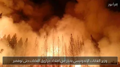 وزير الغابات الإندونيسي يحذر من امتداد حرائق الغابات حتى نوفمبر