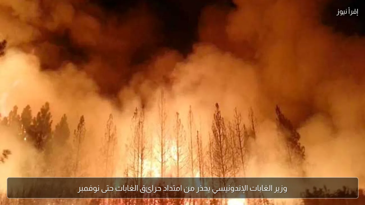 وزير الغابات الإندونيسي يحذر من امتداد حرائق الغابات حتى نوفمبر