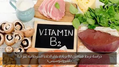 دراسة تربط فيتامين B2 بزيادة بقاء الخلايا السرطانية عبر آلية «الفيروبتوسيس»