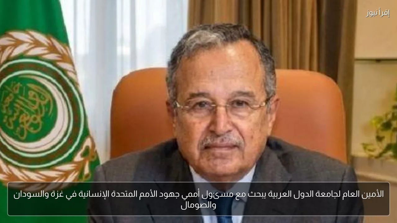 الأمين العام لجامعة الدول العربية يبحث مع مسئول أممي جهود الأمم المتحدة الإنسانية في غزة والسودان والصومال