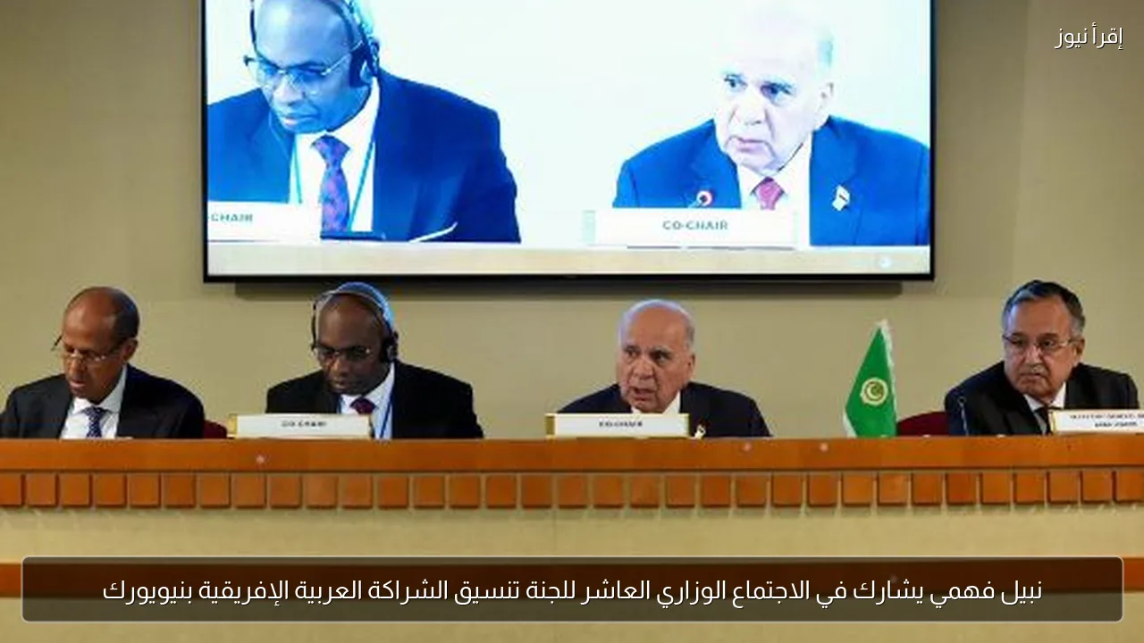 نبيل فهمي يشارك في الاجتماع الوزاري العاشر للجنة تنسيق الشراكة العربية الإفريقية بنيويورك