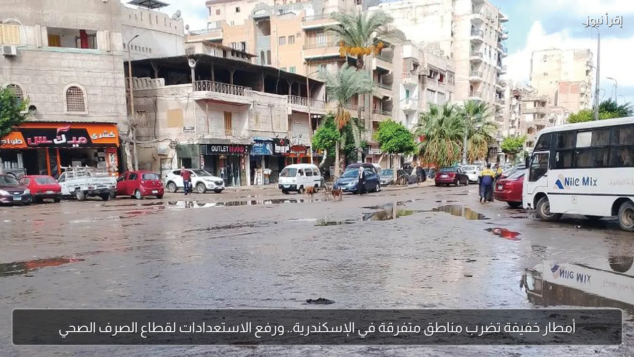 أمطار خفيفة تضرب مناطق متفرقة في الإسكندرية.. ورفع الاستعدادات لقطاع الصرف الصحي