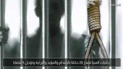 جنايات المنيا تصدر 28 حكمًا بالإعدام والمؤبد والبراءة وتؤجل 3 قضايا