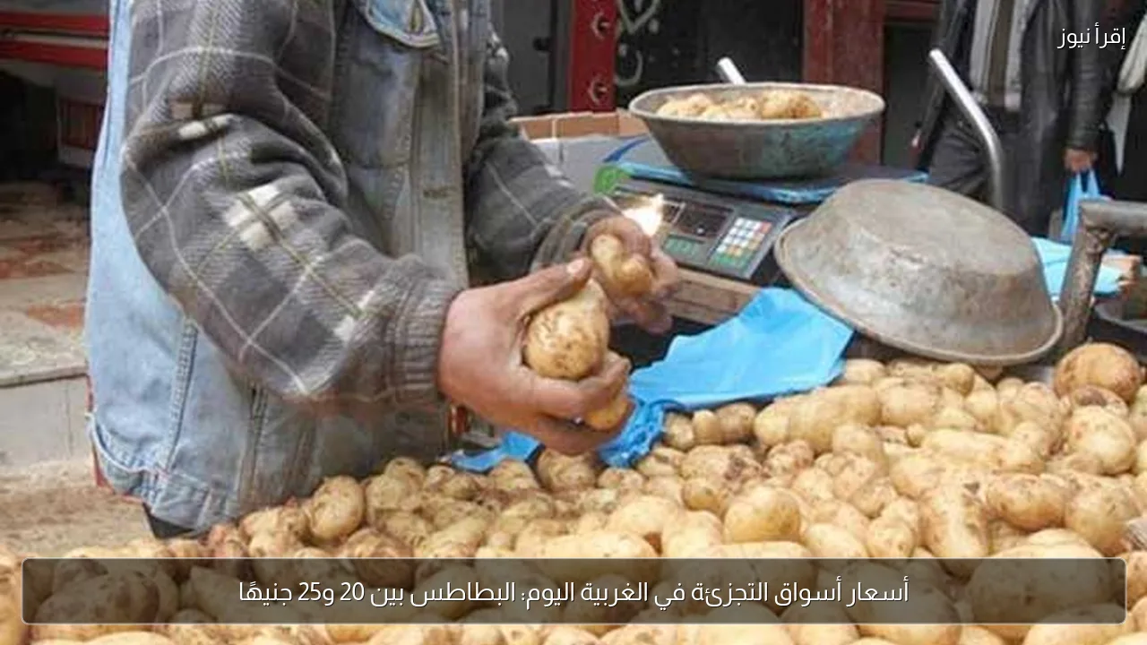 أسعار أسواق التجزئة في الغربية اليوم: البطاطس بين 20 و25 جنيهًا