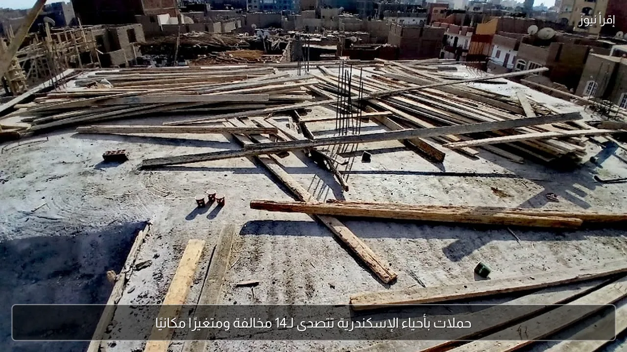 حملات بأحياء الإسكندرية تتصدى لـ14 مخالفة ومتغيرًا مكانيًا