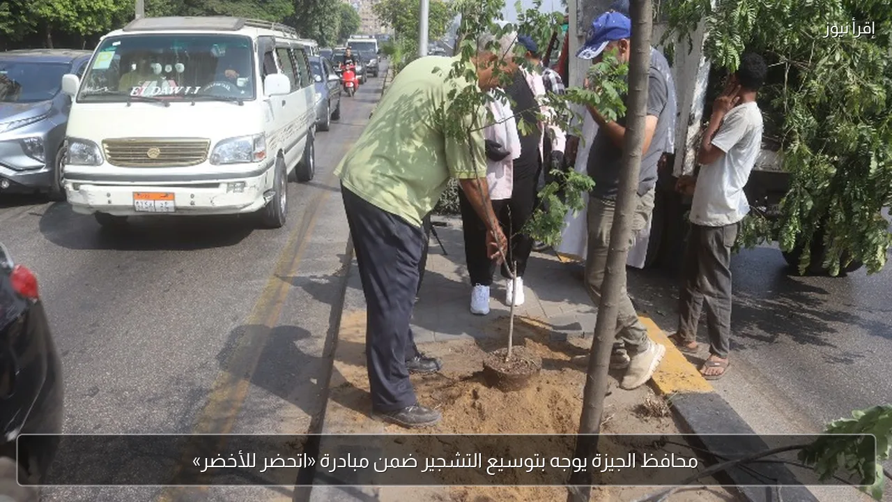 محافظ الجيزة يوجه بتوسيع التشجير ضمن مبادرة «اتحضر للأخضر»