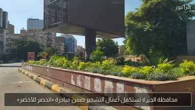 محافظة الجيزة تستكمل أعمال التشجير ضمن مبادرة «اتحضر للأخضر»