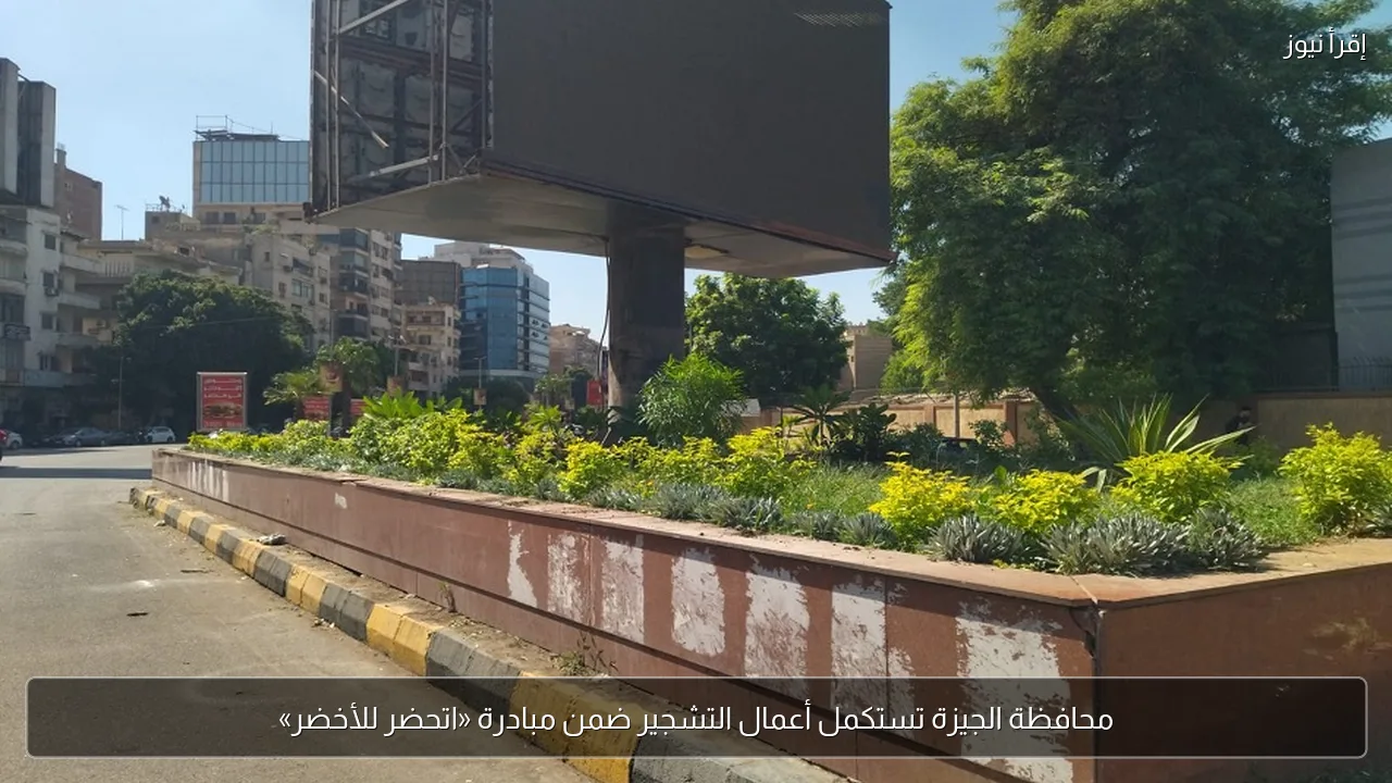 محافظة الجيزة تستكمل أعمال التشجير ضمن مبادرة «اتحضر للأخضر»
