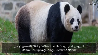 الرئيس الصيني يصف الباندا العملاقة بـ”سفير تاريخي للصداقة” بين الصين والولايات المتحدة