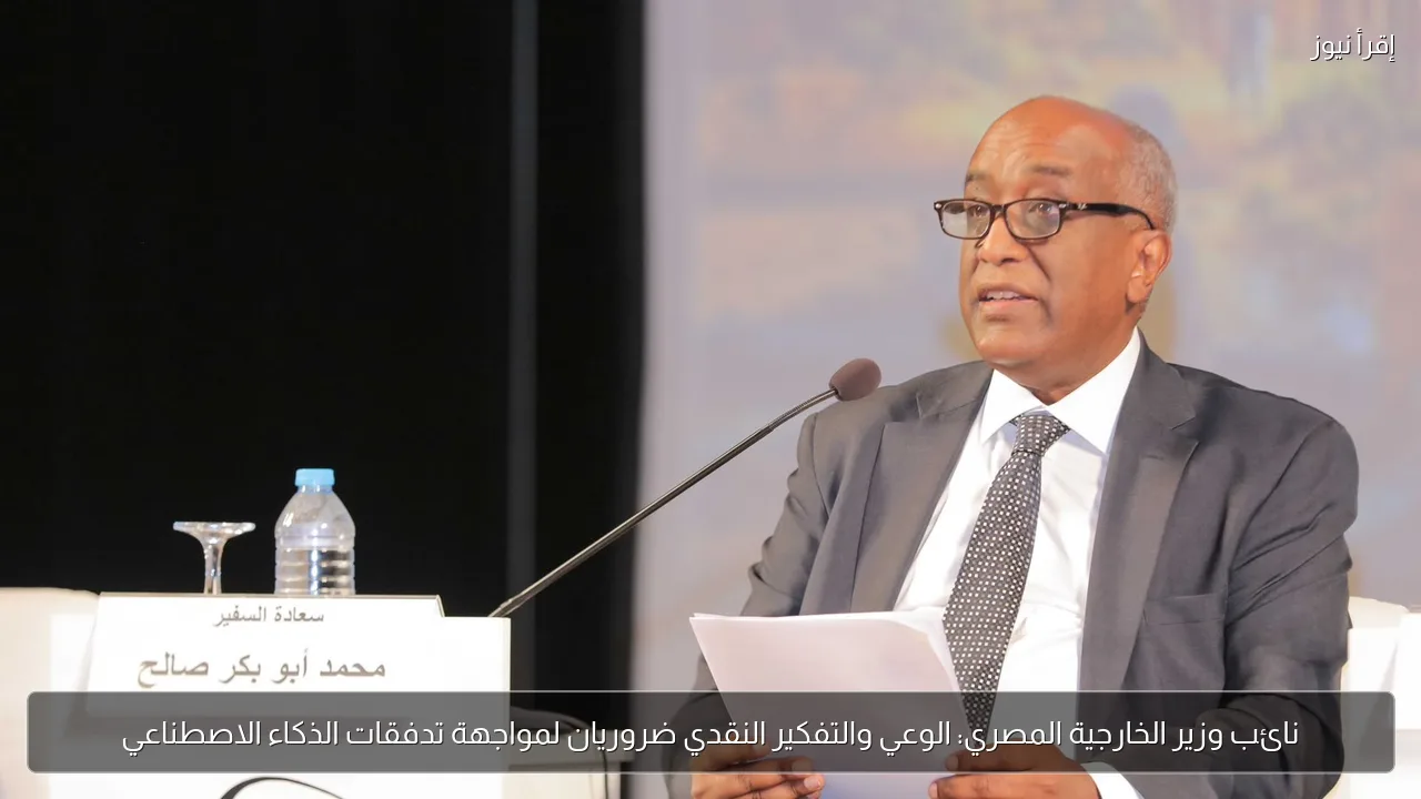 نائب وزير الخارجية المصري: الوعي والتفكير النقدي ضروريان لمواجهة تدفقات الذكاء الاصطناعي