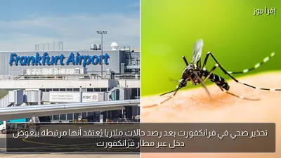تحذير صحي في فرانكفورت بعد رصد حالات ملاريا يُعتقد أنها مرتبطة ببعوض دخل عبر مطار فرانكفورت