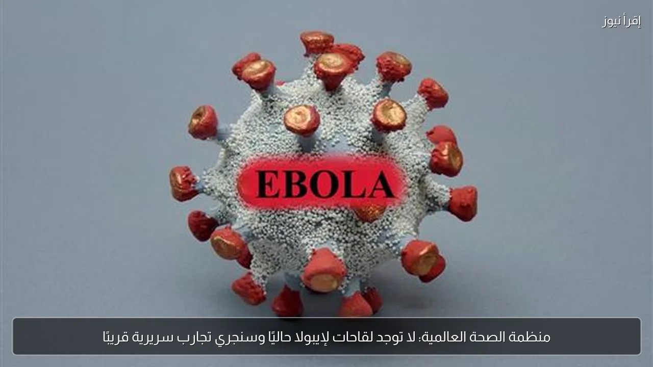 منظمة الصحة العالمية: لا توجد لقاحات لإيبولا حاليًا وسنجري تجارب سريرية قريبًا
